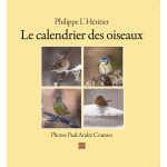 le-calendrier-des-oiseaux